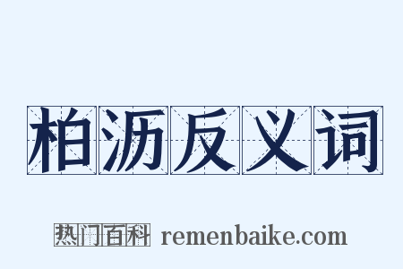 柏沥反义词是什么意思的图片